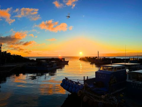 生態漫遊_鼻頭漁港夕陽