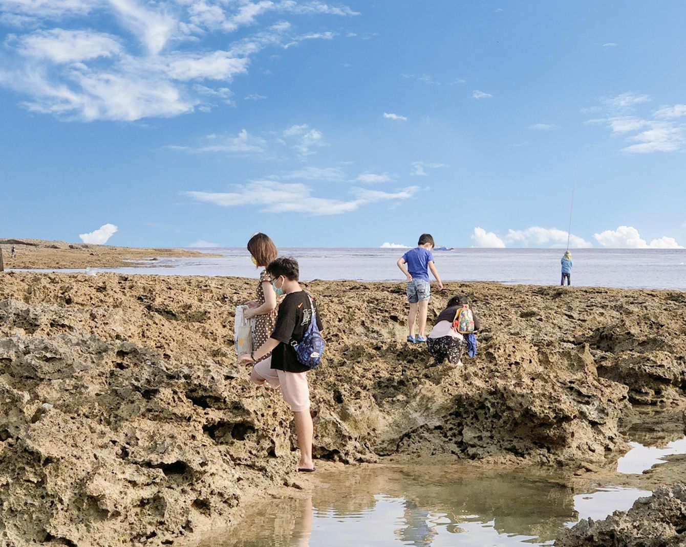 Intertidal Eco-Tour